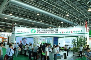 千商汇智 赢领未来 2018中国种业千商大会15日在合肥盛大召开